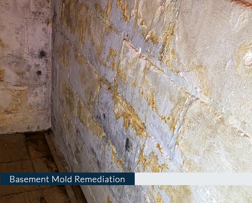 Basement Mold Remediation