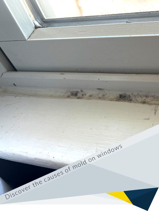 Mold on Windows: Causes and Prevention Tips
