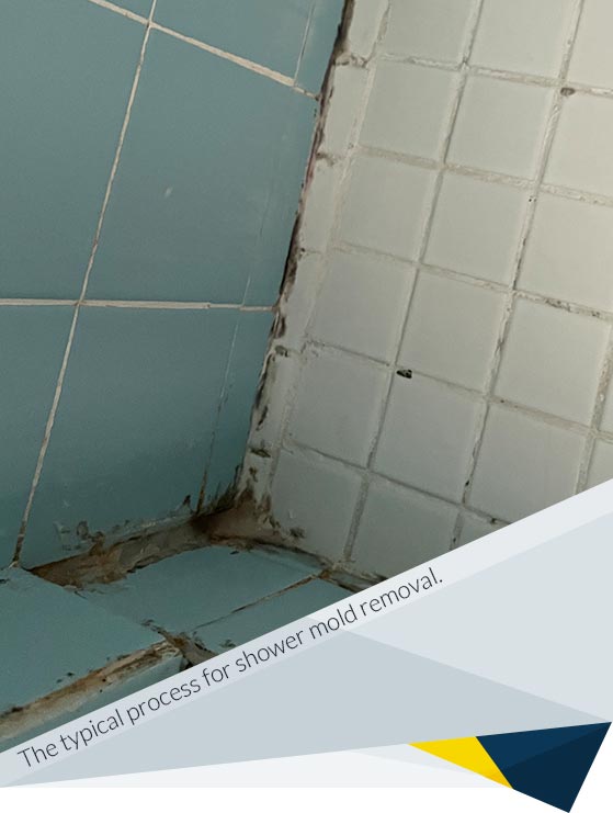 What is the Typical Process for Shower Mold Removal Services