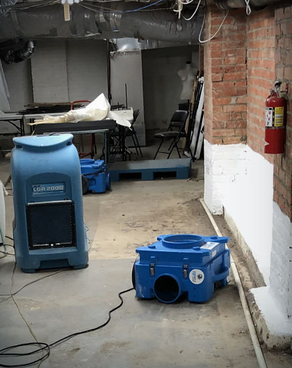What Dehumidifiers Can Do to Keep Mold Away