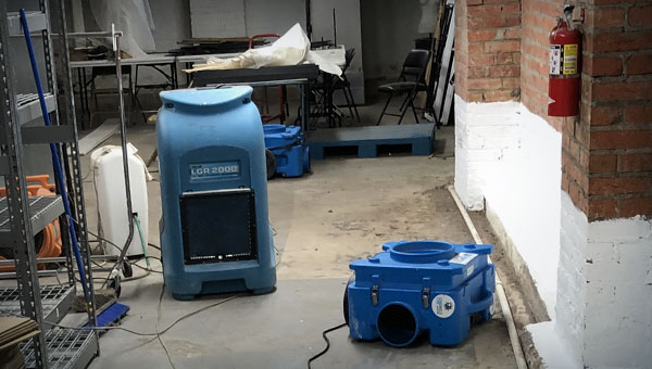 What Dehumidifiers Can Do to Keep Mold Away