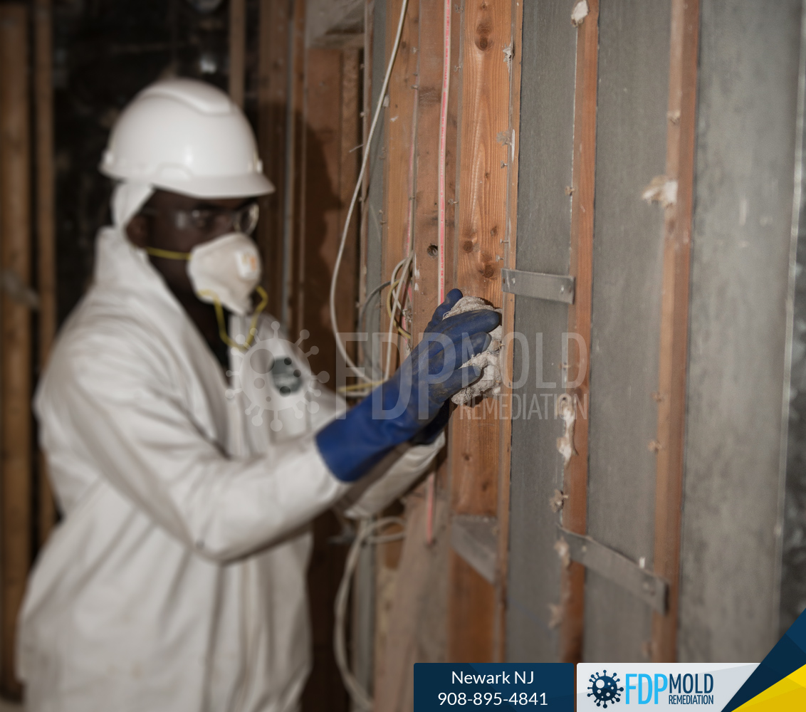 FDP Mold Remediation of Newark