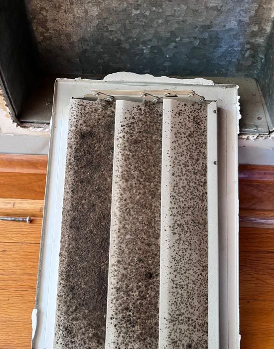 Mold remediation from vents