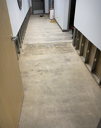 Step 5: Mold Removal Process and Surface Cleaning