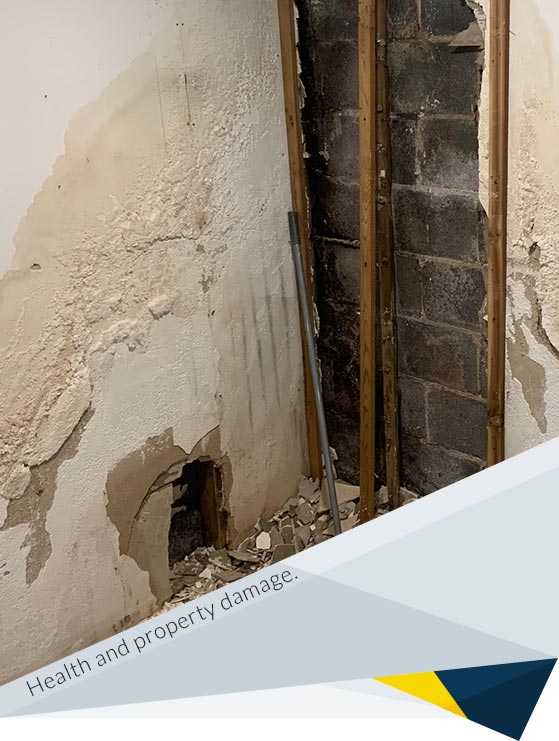 Can Basement Mold Make You Sick?