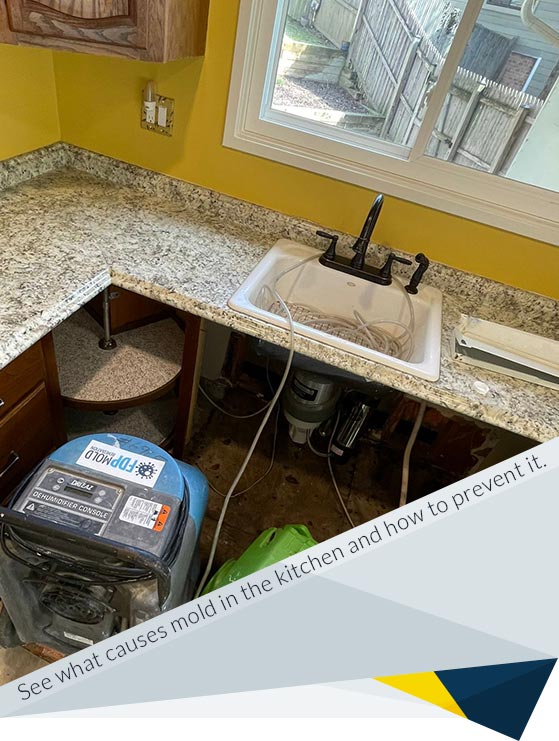 Fight Mold in Your Kitchen