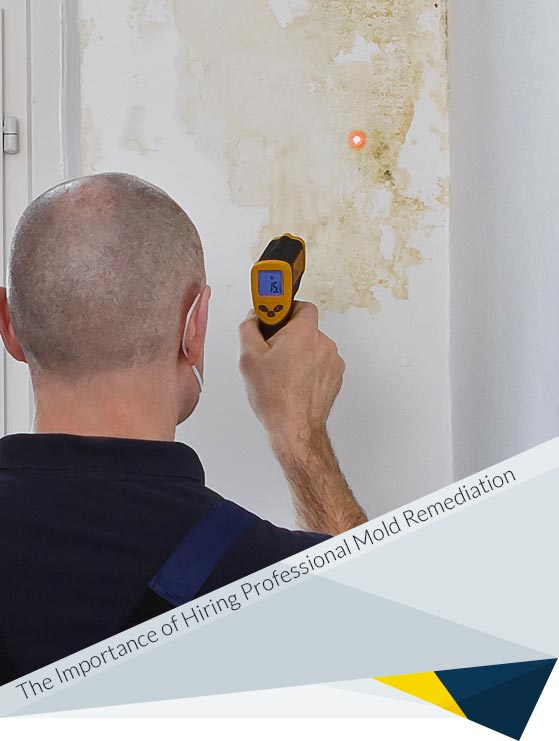 The Importance of Hiring Professional Mold Remediation Services for Your Home
