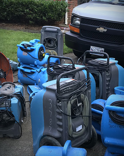 5 Benefits of Hiring a Local Mold Specialist