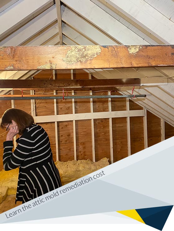 Attic Mold Removal: Cost Factors for Attic Mold Remediation