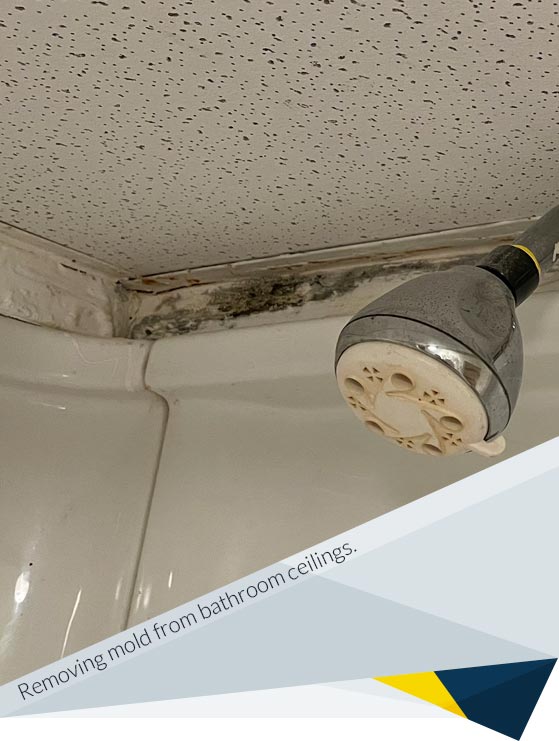 How to Remove Mold from Bathroom Ceilings