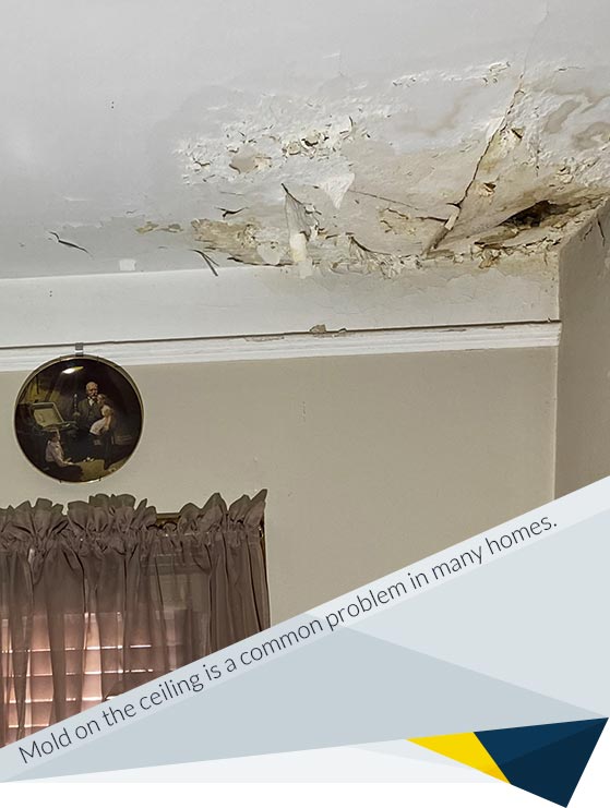 Mold on the Ceiling