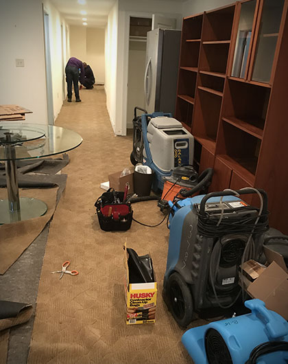 Preventing Mold Growth in Schools