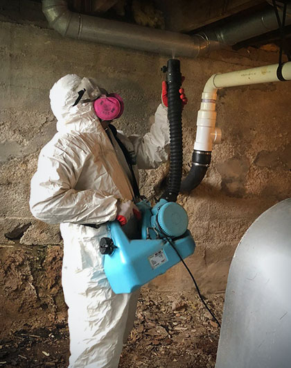 Personal Protective Equipment for Mold Removal