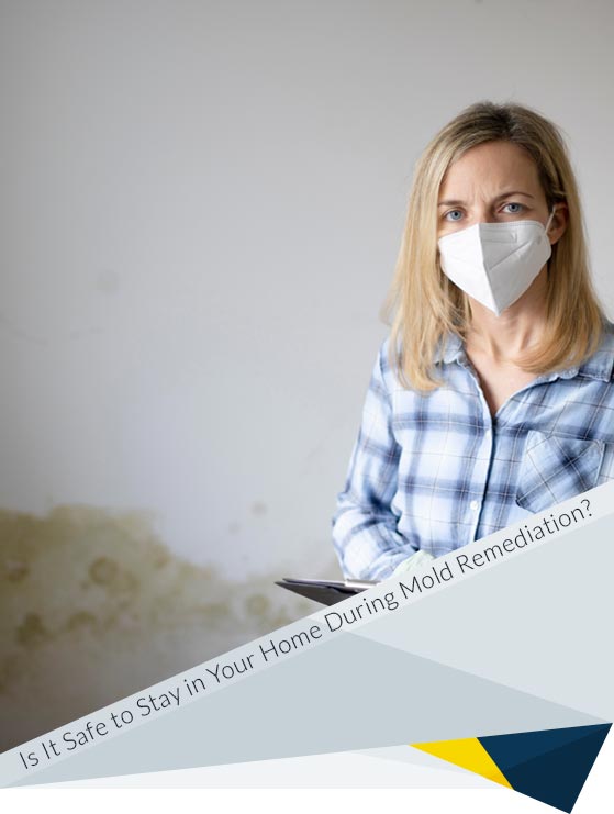 Is It Safe to Stay in Your Home During Mold Remediation?