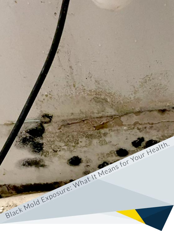 The Health Impacts of Black Mold