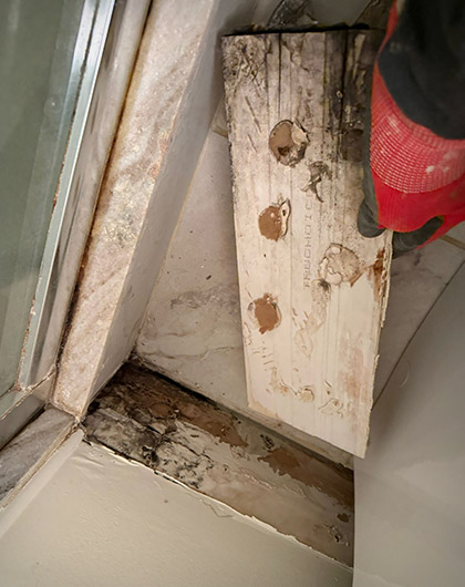Mold in Bathroom: What It Means, What It Might Not Be, and the Next Smart Step