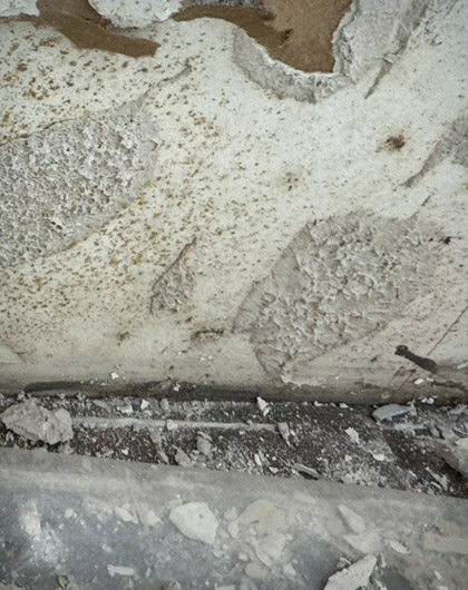 Recommended Products and Tools for White Mold Removal on Drywall