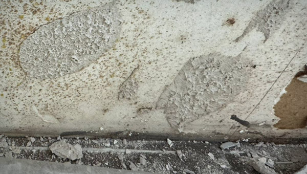 Recommended Products and Tools for White Mold Removal on Drywall