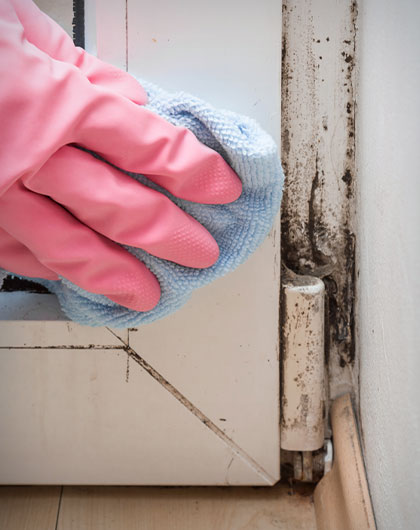How Effective Is Alcohol for Mold Removal?