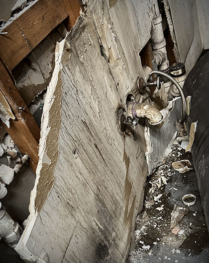 Mold in New Construction: Why It Happens and How to Prevent It