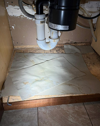 How to Find Mold Under the Sink