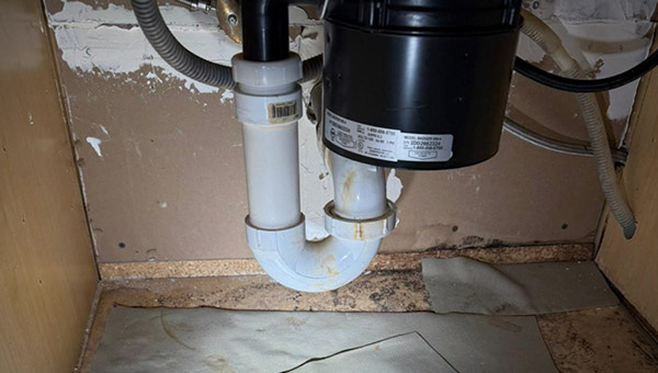 How to Find Mold Under the Sink