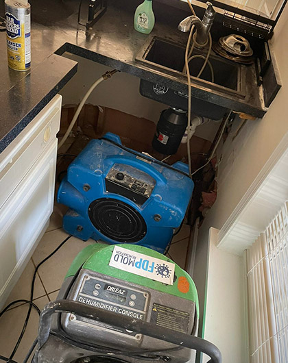 How to Get Rid of Mold Under the Sink (DIY Guide)