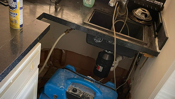 How to Get Rid of Mold Under the Sink (DIY Guide)