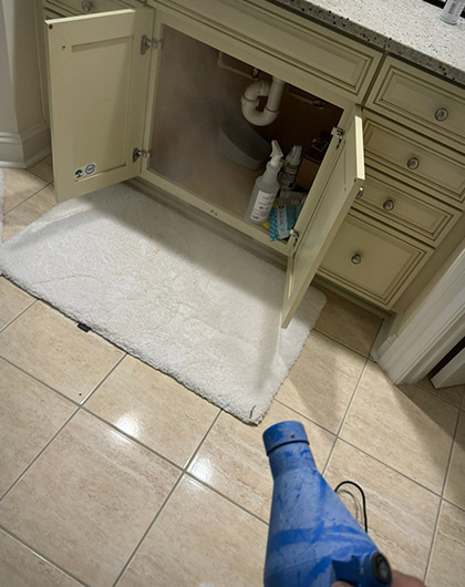 How to Prevent Mold from Coming Back
