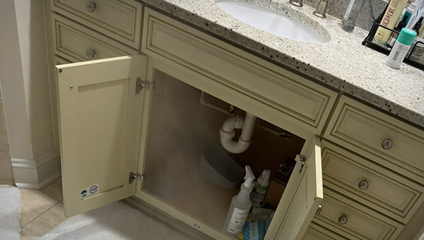 How to Prevent Mold from Coming Back