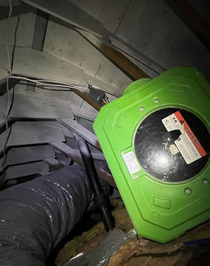 Why Mold Loves Attics