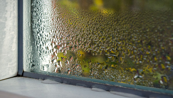 Why Ideal Indoor Humidity Matters for Your Health and Home