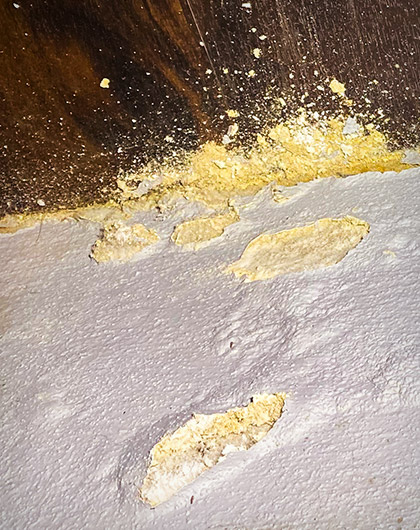 Yellow growth and staining along an indoor baseboard edge