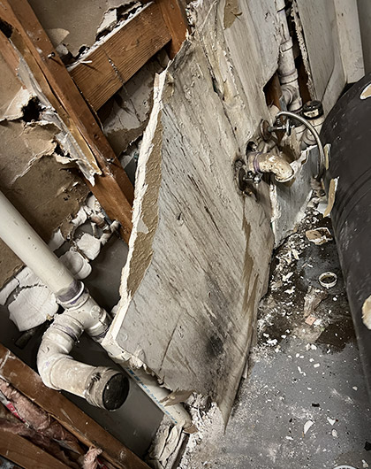 Is Mold Under the Sink Dangerous?