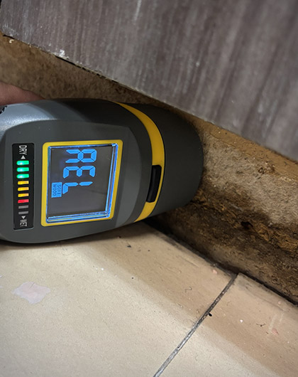 Mold After Water Damage: What Homeowners Should Know