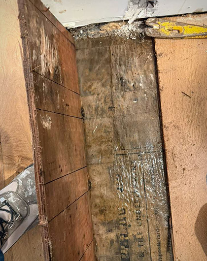 Water damage and mold signs near lower wall and trim