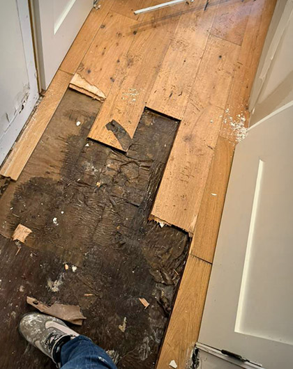 Water-damaged subfloor exposed after flooring removal