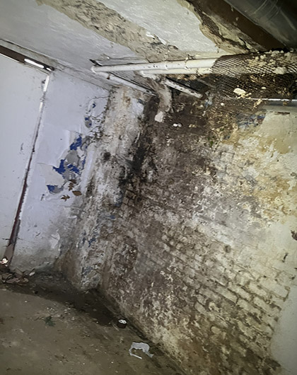 Mold and water damage along the basement plumbing and ceiling area