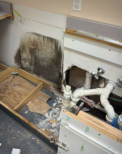 Mold growth behind the cabinet and plumbing after water damage