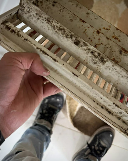 What Counts as Mold in Air Ducts and Where It Shows Up