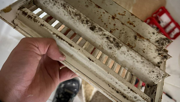 What Counts as Mold in Air Ducts and Where It Shows Up