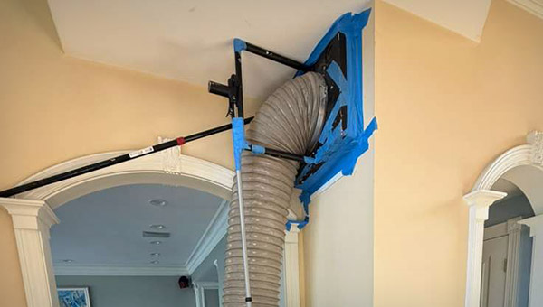 How To Get Rid of Mold in Air Ducts