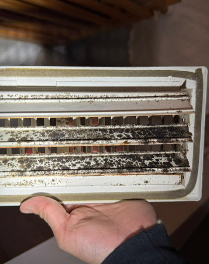 Visible mold growth on HVAC vent cover