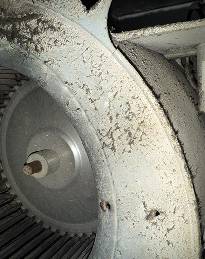 Mold growth inside the HVAC blower compartment