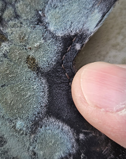 Mold on Clothes: How It Happens and What You Can Do About It