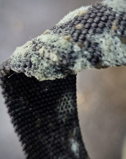 What Does Mold Look Like on Clothes?