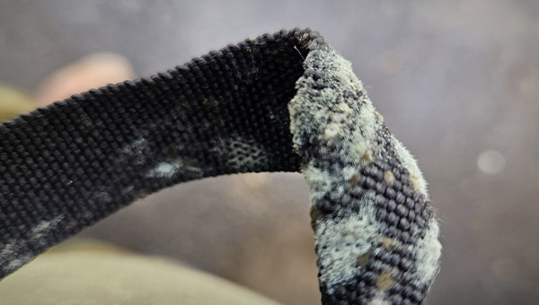 What Does Mold Look Like on Clothes?