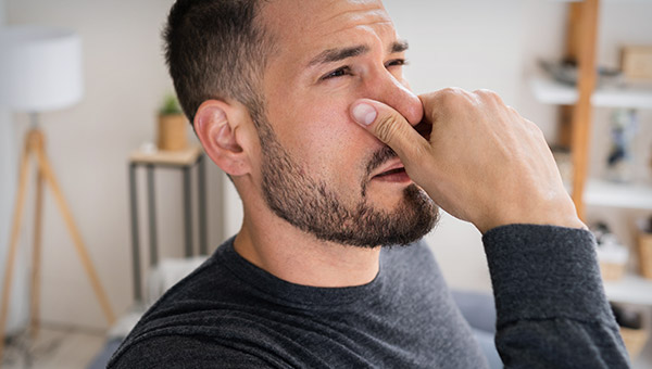 Decoding the Musty Odor: What Does Mold Smell Like?