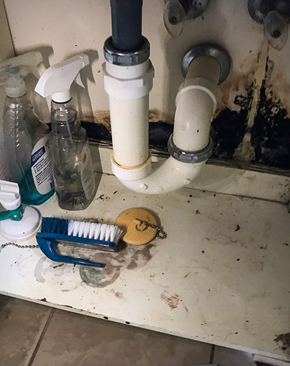 What Does Mold Under the Sink Look Like?