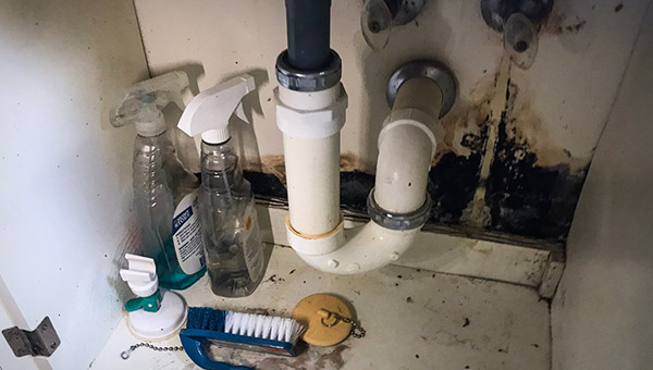 What Does Mold Under the Sink Look Like?